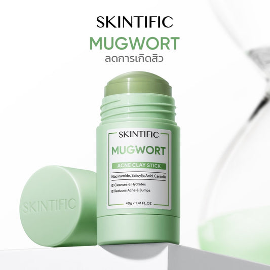 SKINTIFIC Mugwort Anti Pores & Acne Clay Stick