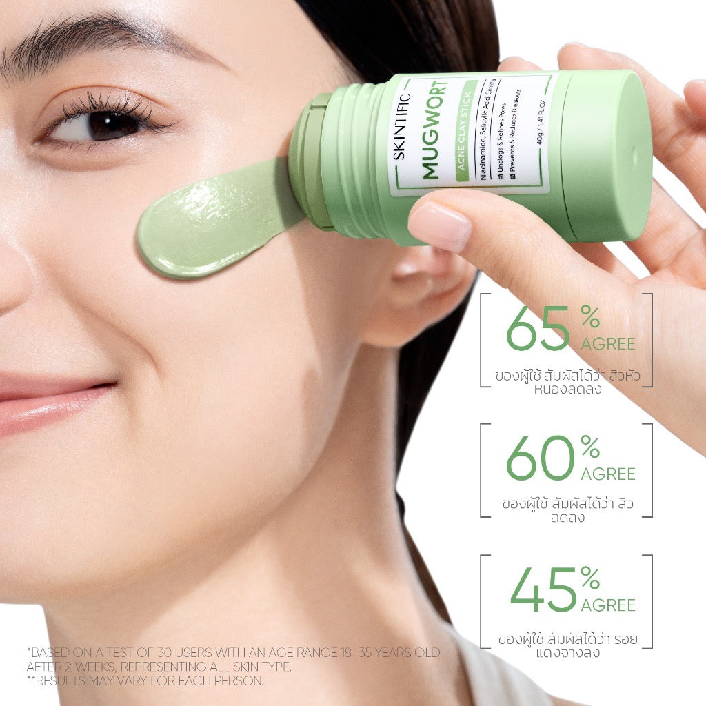 SKINTIFIC Mugwort Anti Pores & Acne Clay Stick